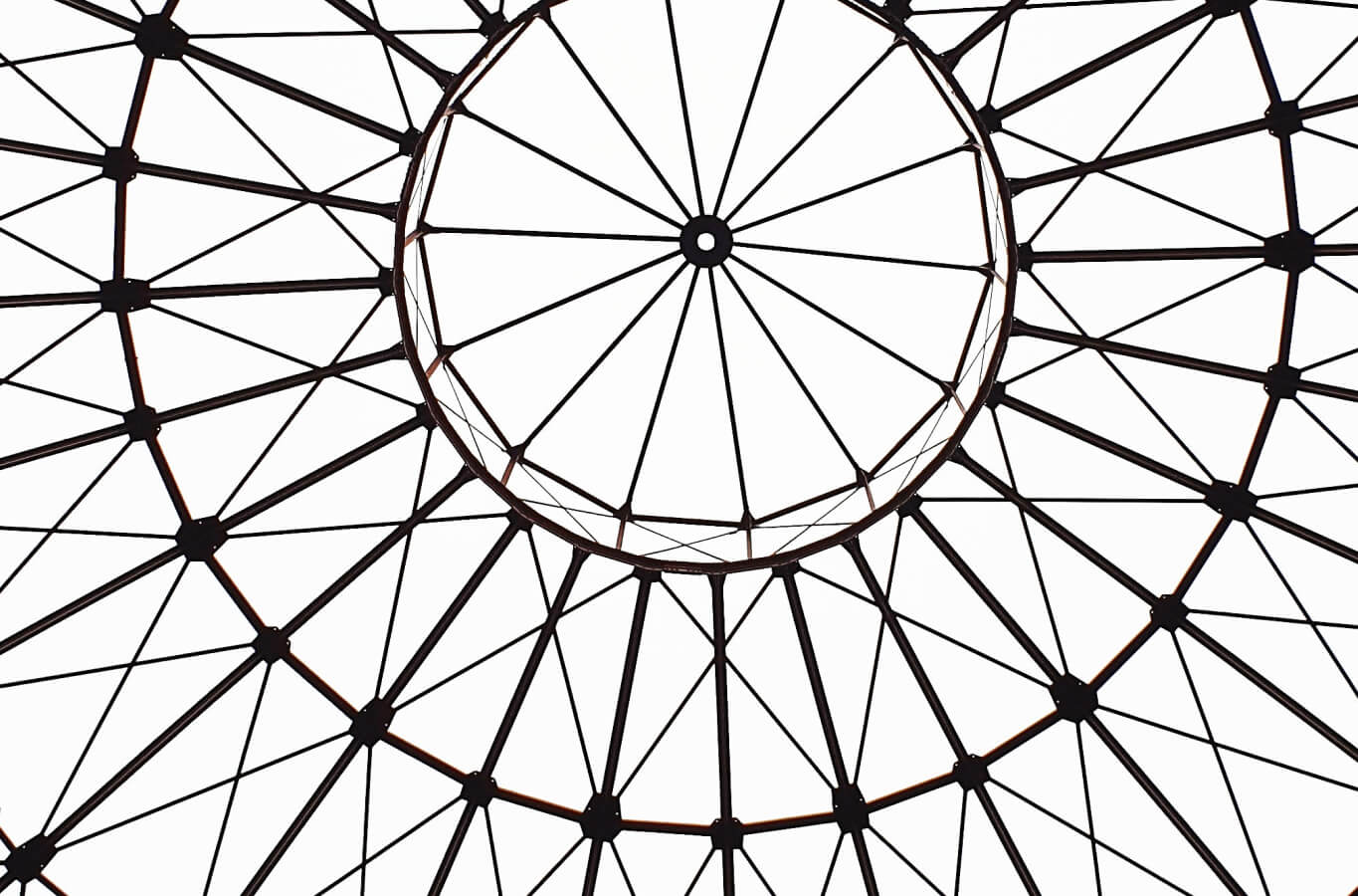 The Brand Case Study You’ll Never Forget